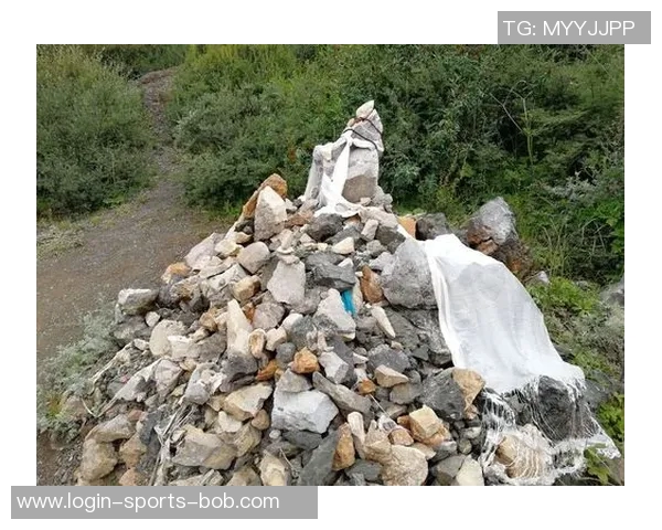 萨林杰的文学世界与人性探讨：从孤独到自我救赎的心灵旅程